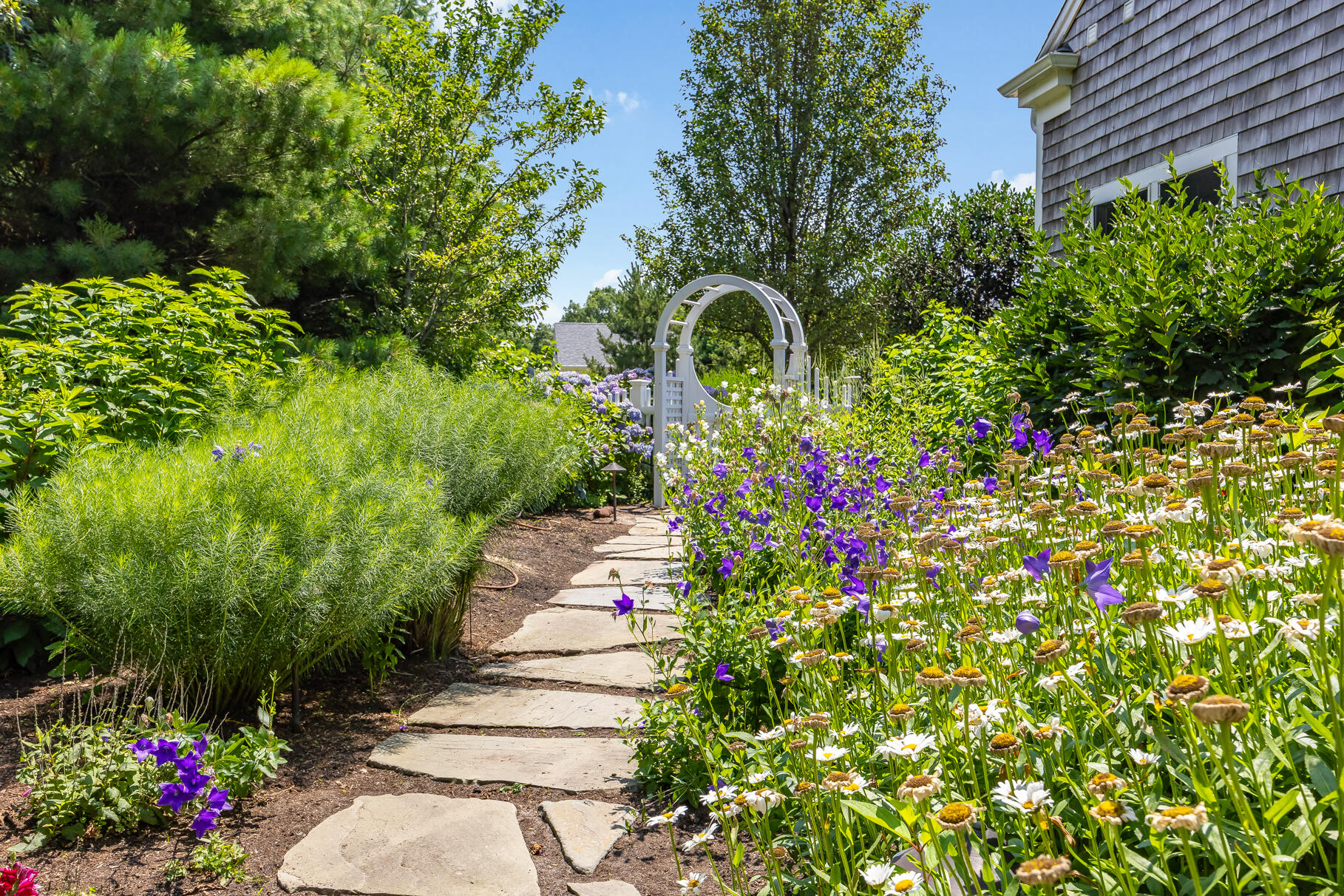 950 Massasoit Road Eastham, MA 02642 - Photo 53 of 66 a view of a garden with flower plants