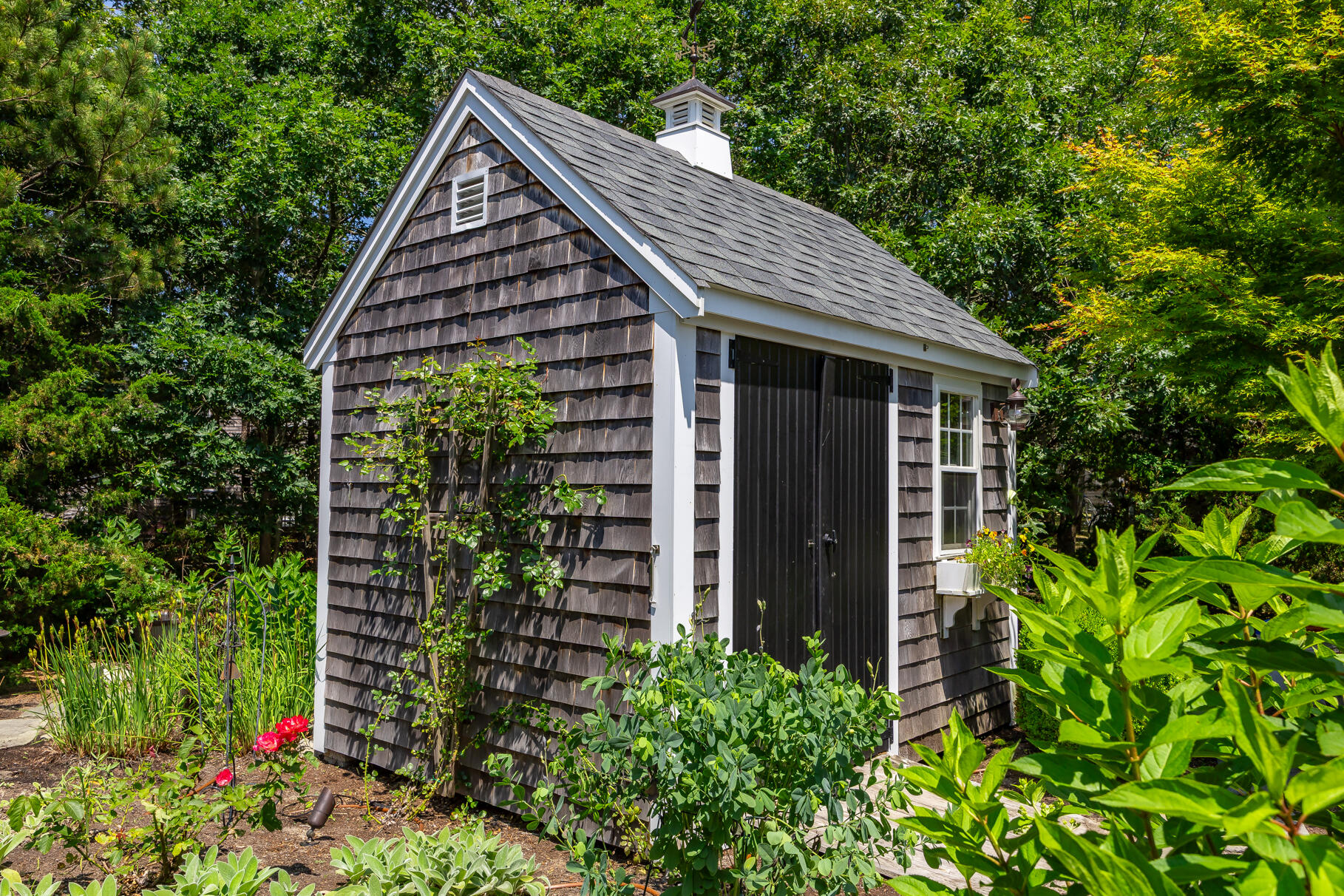 950 Massasoit Road Eastham, MA 02642 - Photo 56 of 66 a view of a house with potted plants