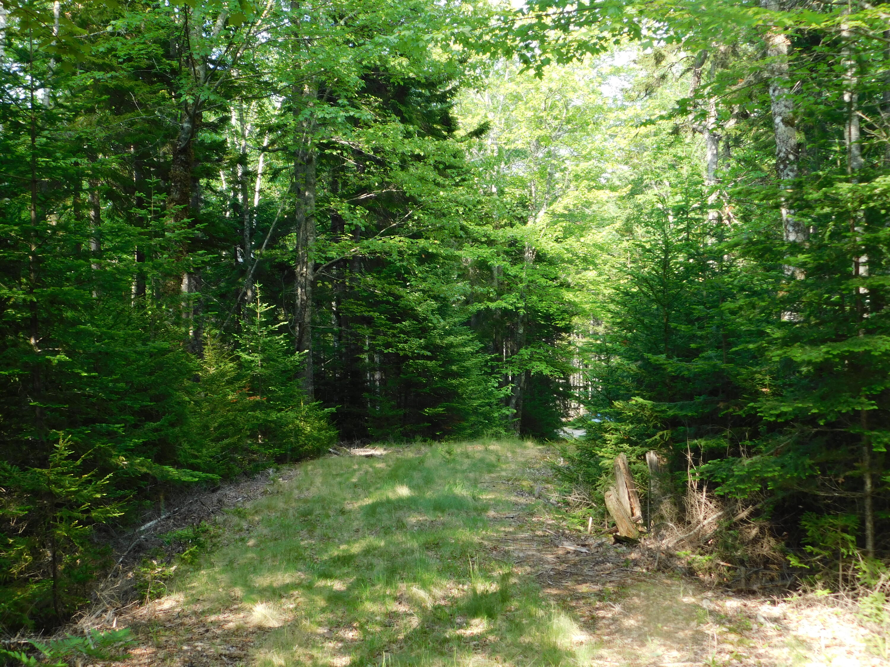 Lot 5 Ripley Neck Road Harrington, ME 04643 - Photo 36 of 39 DSCN0112