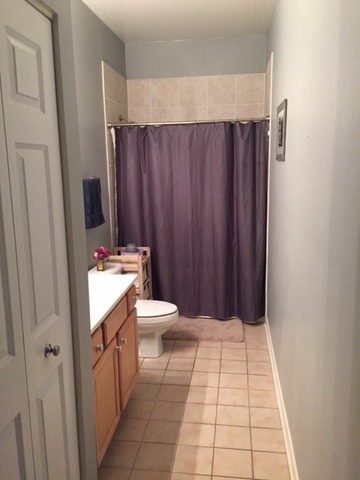 1300 West Grenshaw Street, Unit B Chicago, IL 60607 - Photo 16 of 21