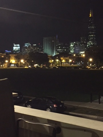 1300 West Grenshaw Street, Unit B Chicago, IL 60607 - Photo 21 of 21