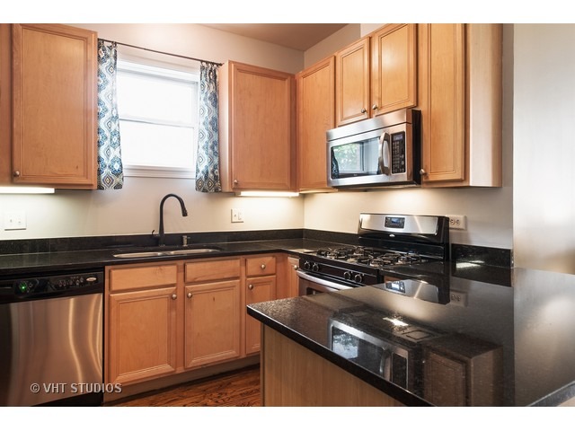 1300 West Grenshaw Street, Unit B Chicago, IL 60607 - Photo 6 of 21
