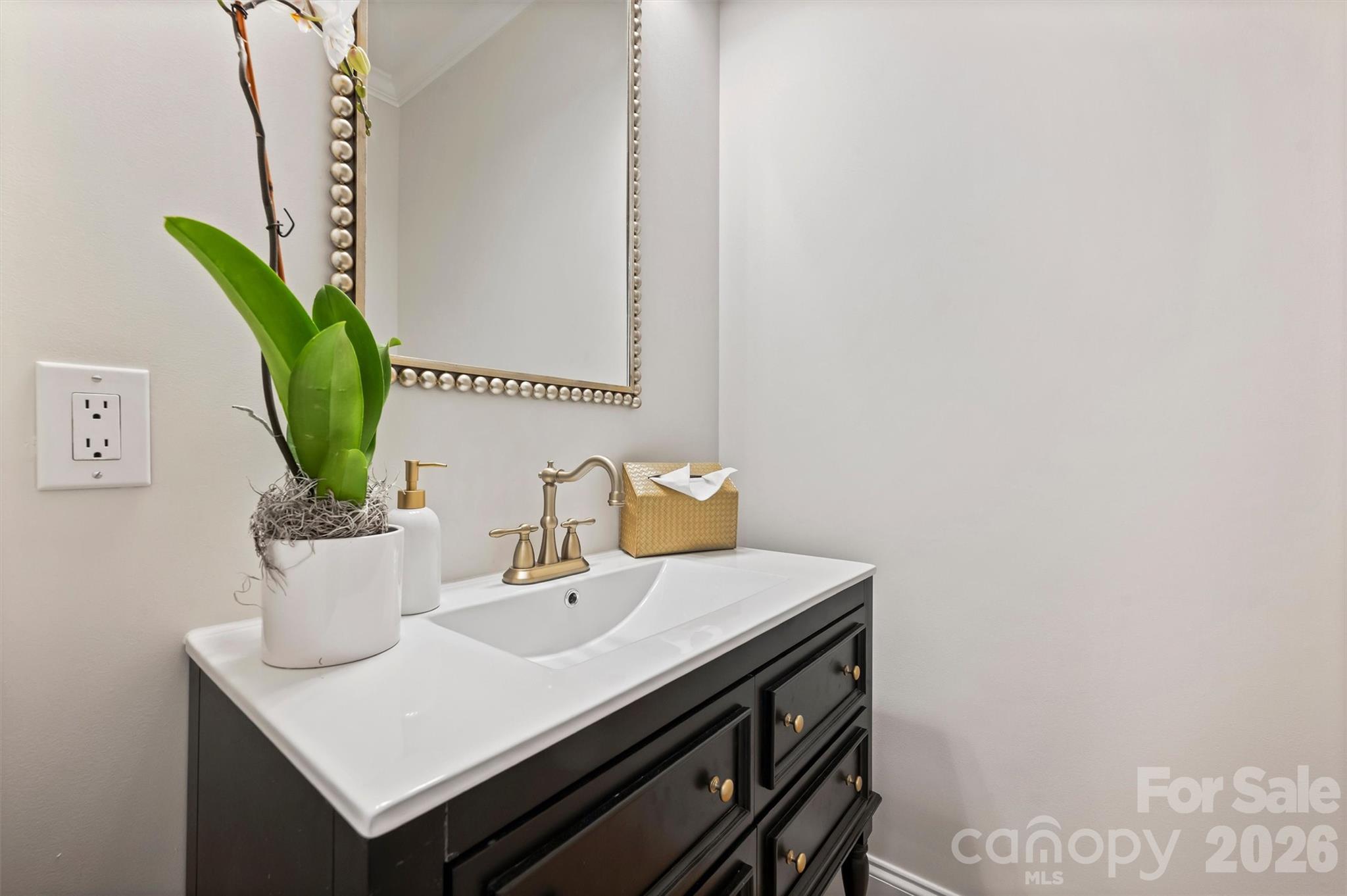 271 Beaten Path Road Mooresville, NC 28117 - Photo 10 of 47 a bathroom with a sink a mirror and a plant