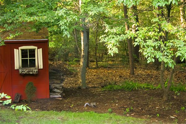 62 Stock Farm Road Sudbury, MA 01776 - Photo 25 of 28 Gallery Image 25