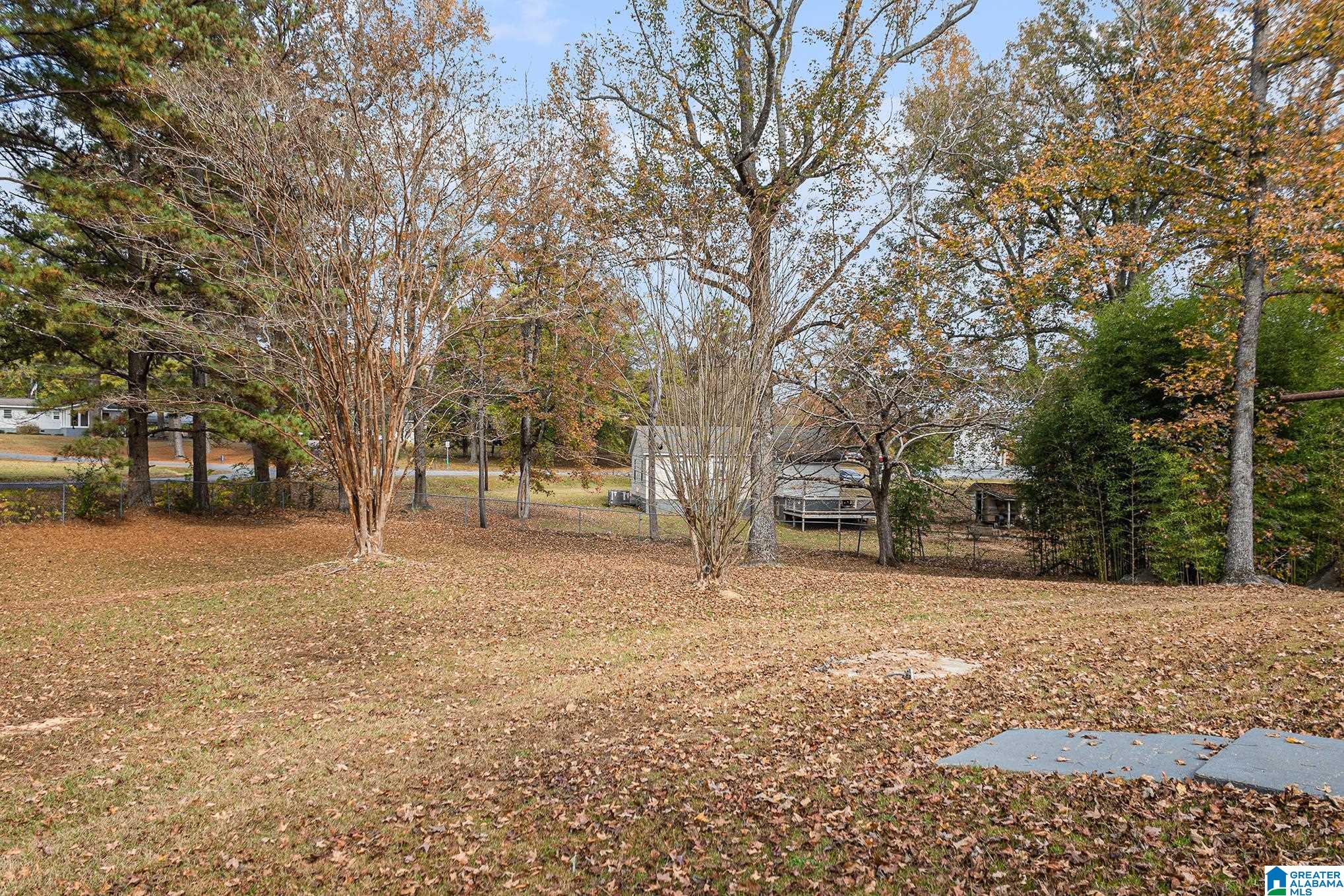 3211 Hillabee Road Alexander City, AL 35010 - Photo 28 of 35