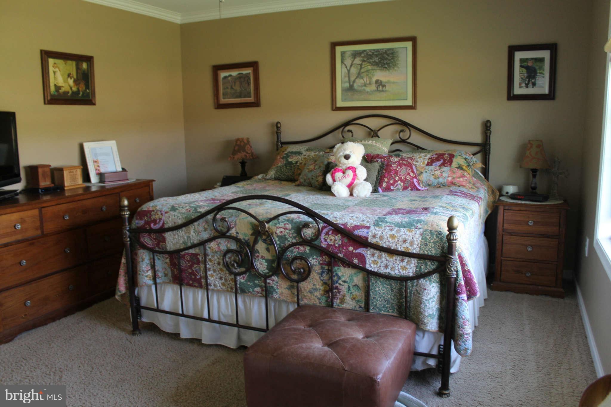 850 Warm Springs Road Winchester, VA 22603 - Photo 20 of 30 Bedroom (Master)