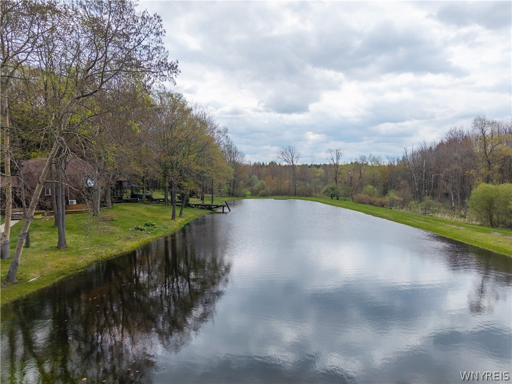 311 Ortner Road Bennington, NY 14040 - Photo 43 of 50 Views of pond and garden