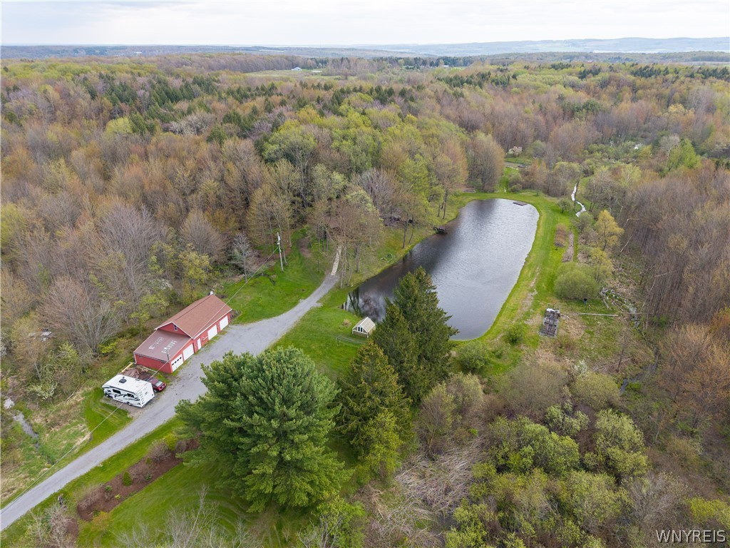 311 Ortner Road Bennington, NY 14040 - Photo 46 of 50 Mature woods with trails for hiking, hunting, etc.
