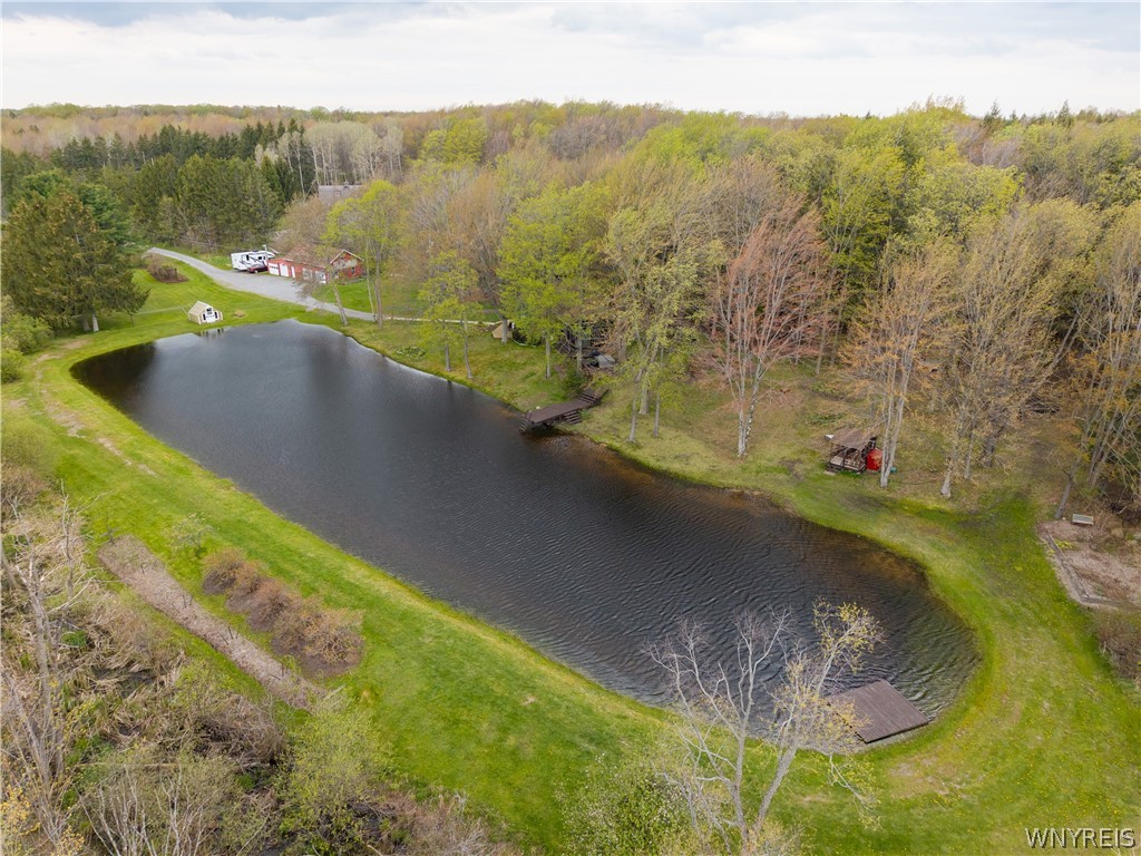 311 Ortner Road Bennington, NY 14040 - Photo 48 of 50 Views of pond and garden