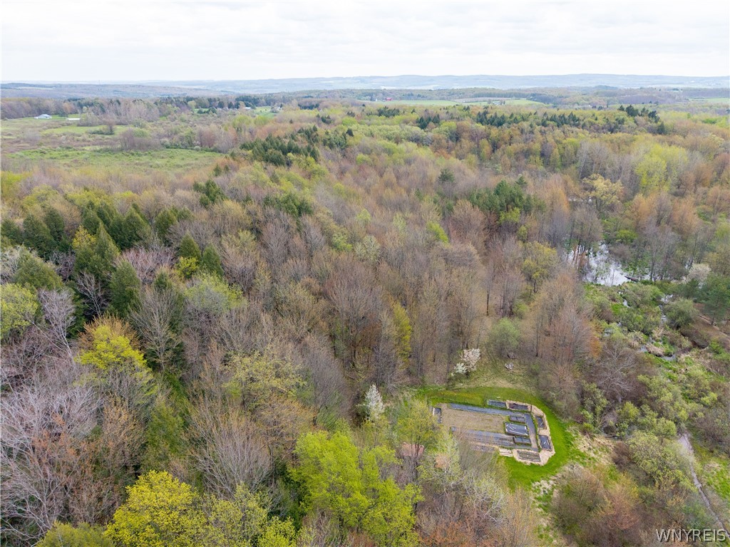 311 Ortner Road Bennington, NY 14040 - Photo 50 of 50 Mature woods with trails for hiking, hunting, etc.