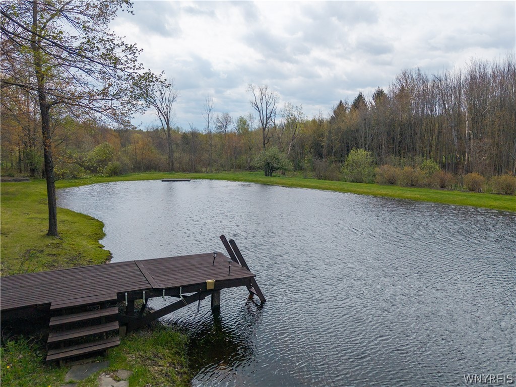 311 Ortner Road Bennington, NY 14040 - Photo 9 of 50 Views of pond and garden with dock