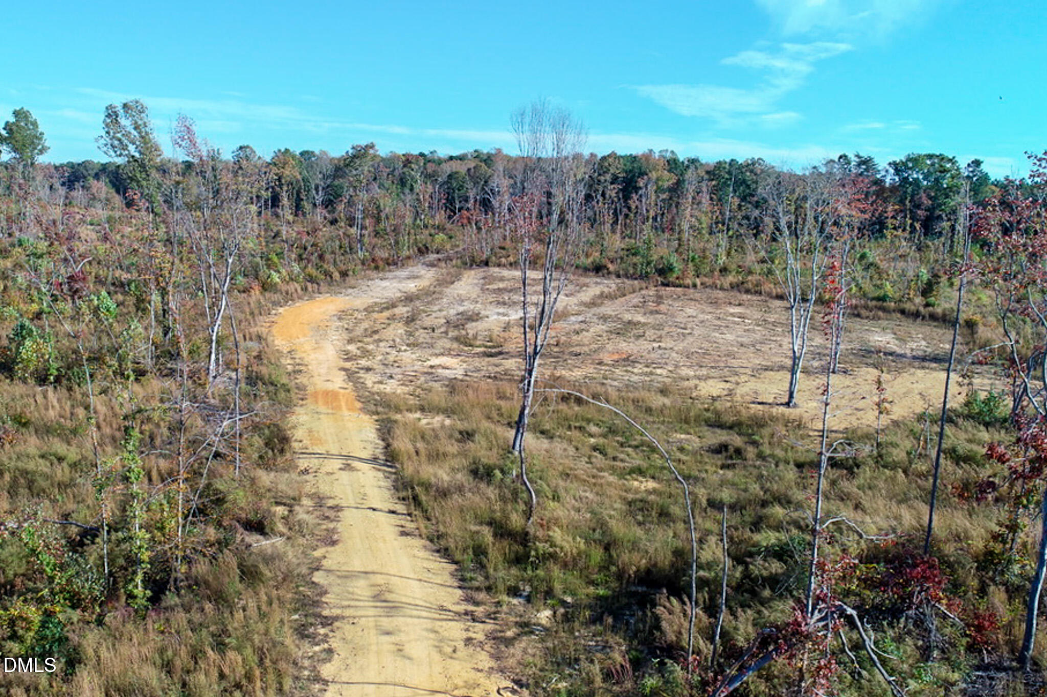 26.51 Country Club Road Roxboro, NC 27574 - Photo 1 of 18 a view of a forest with a mountain view