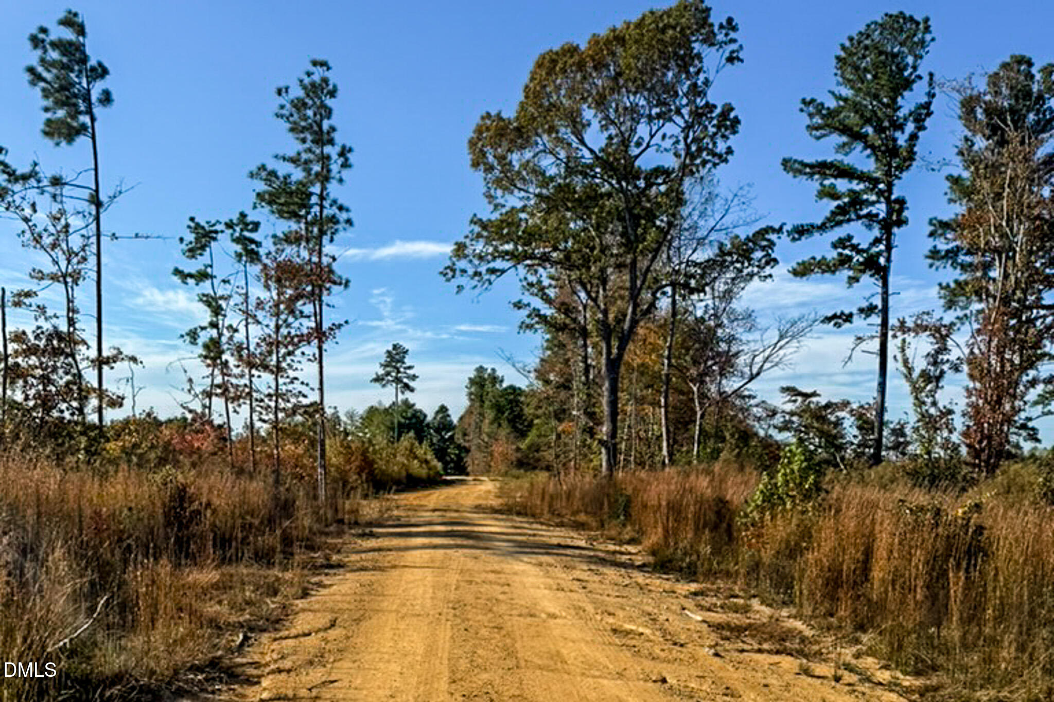 26.51 Country Club Road Roxboro, NC 27574 - Photo 2 of 18 a view of a yard