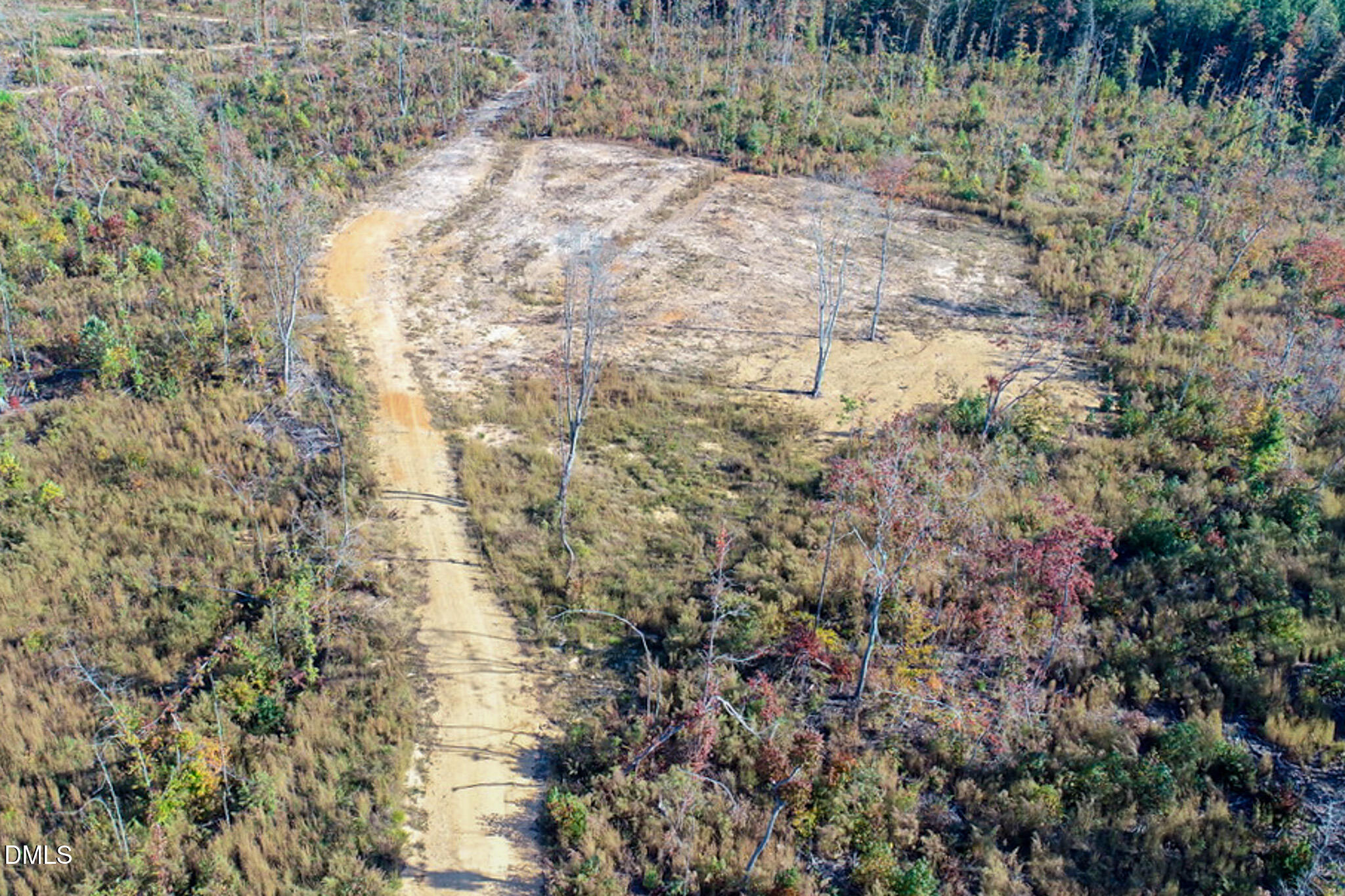 26.51 Country Club Road Roxboro, NC 27574 - Photo 6 of 18 a view of a yard