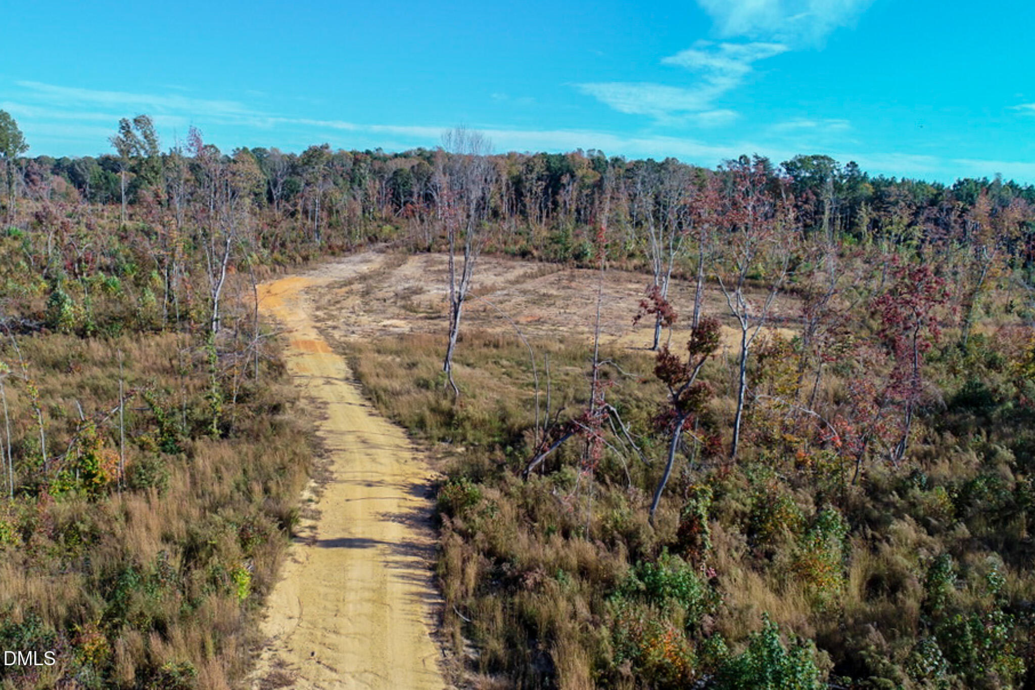 26.51 Country Club Road Roxboro, NC 27574 - Photo 8 of 18 a view of a forest with a forest
