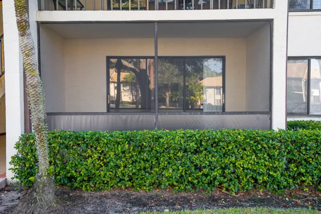 a view of a backyard