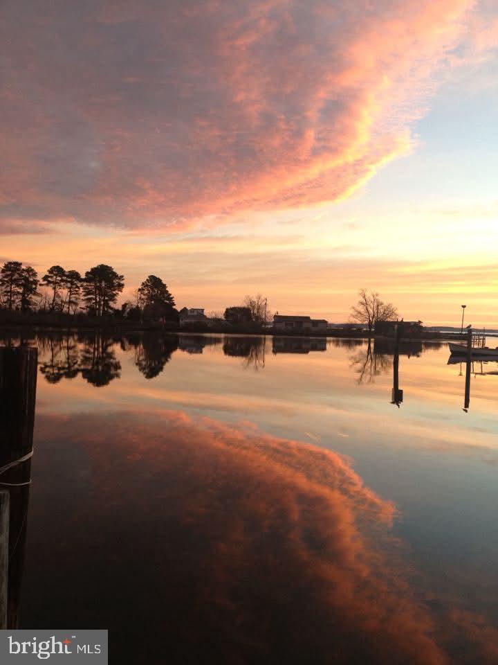 16101 Piney Point Road Piney Point, MD 20674 - Photo 21 of 24 Sunrise view from across the creek