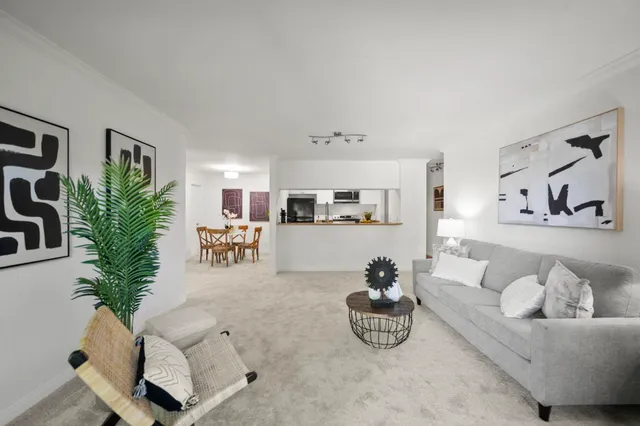 a living room with furniture and a potted plant