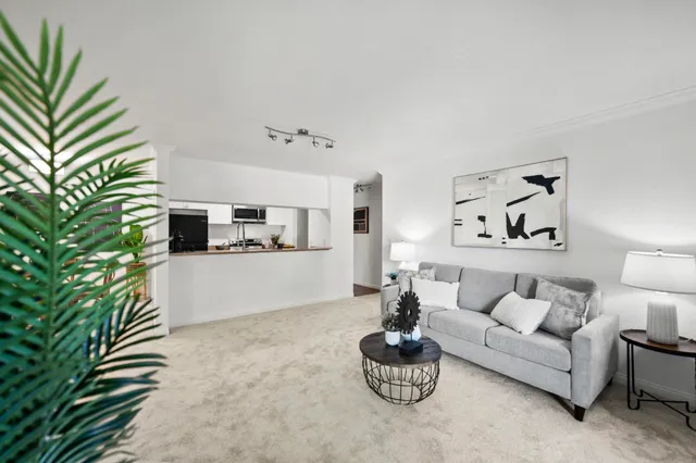 a living room with furniture and a potted plant