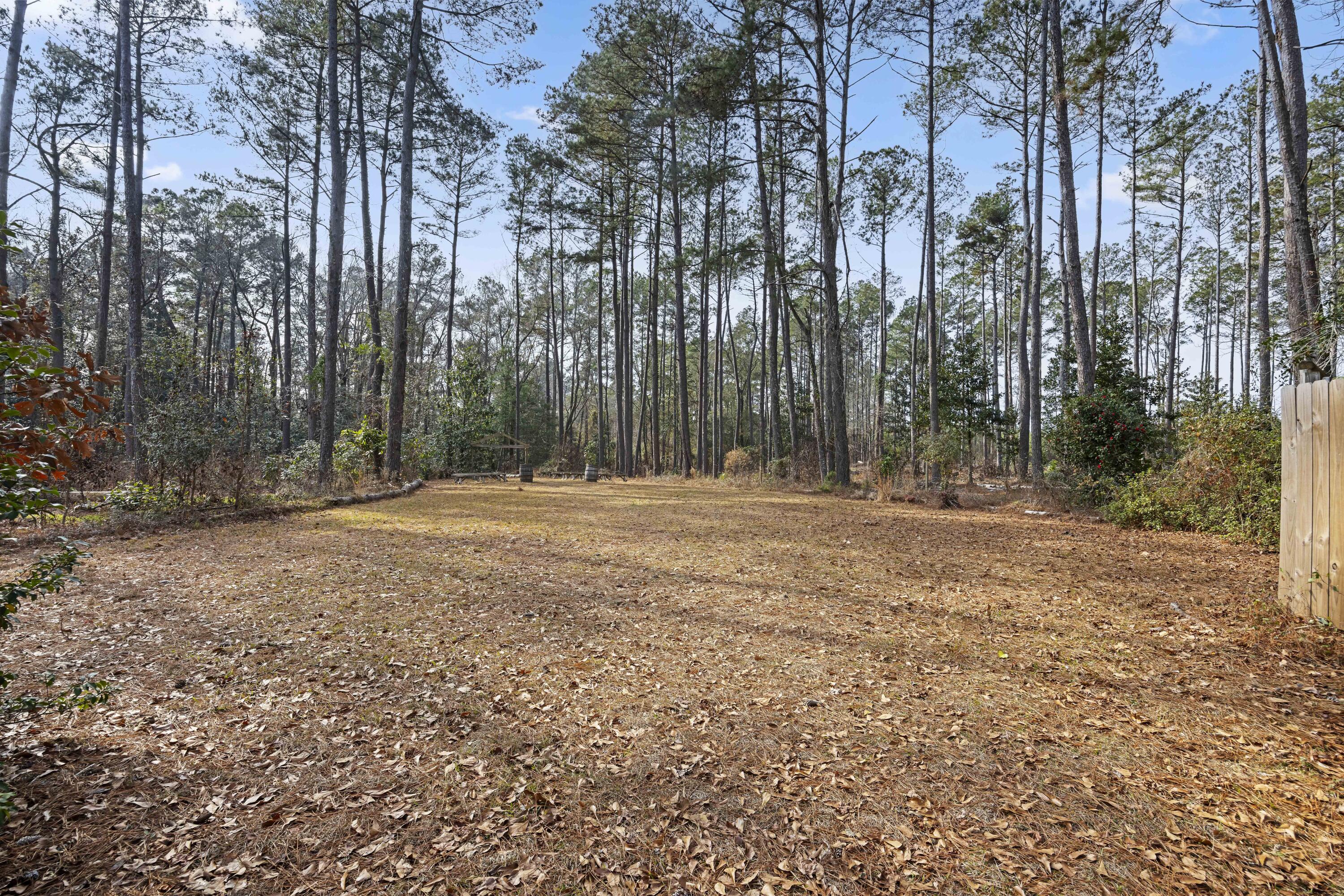 6293 Ehrhardt Road Ehrhardt, SC 29081 - Photo 48 of 58 Cleared Land Area