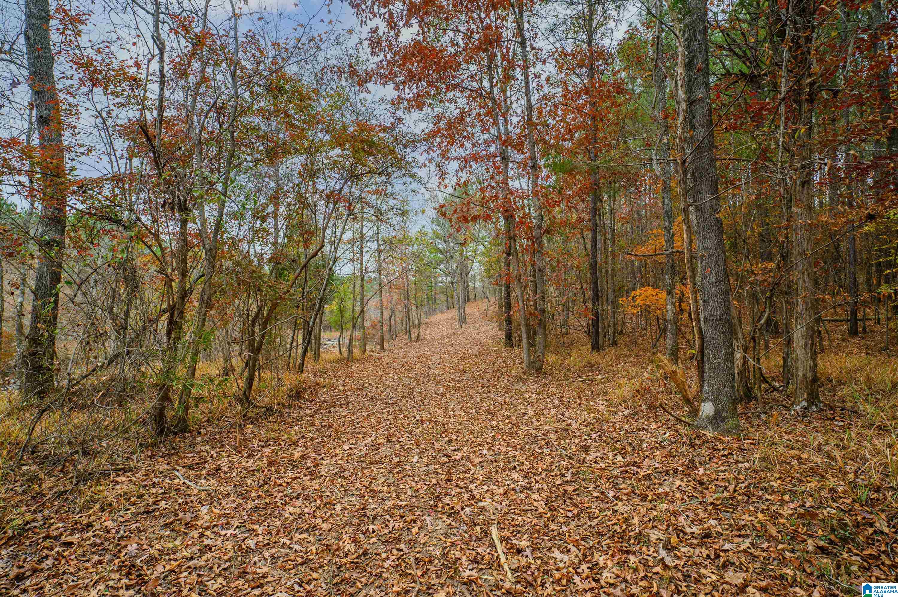 8799 Shades Fall Way, Unit 2 Bessemer, AL 35022 - Photo 33 of 45