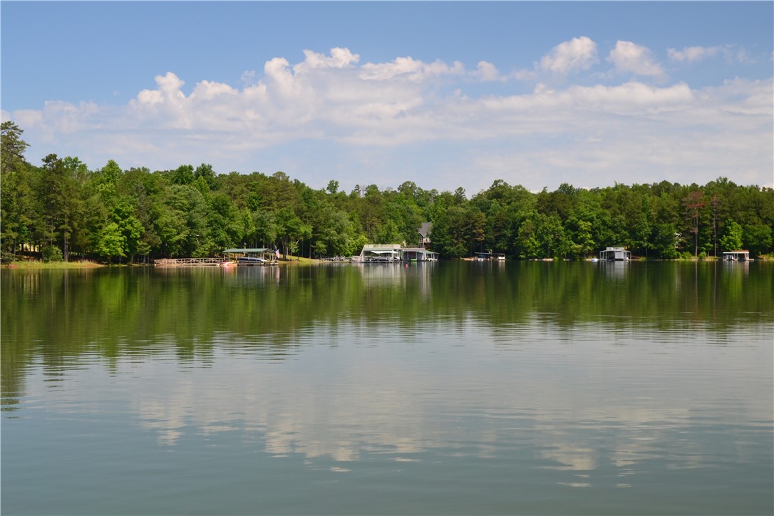 981 Hardy Road Martin, GA 30557 - Photo 8 of 35 Gallery Image 8
