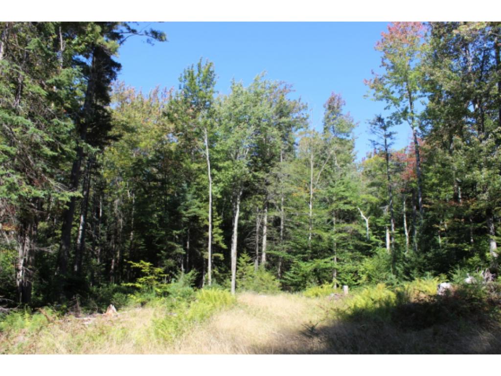 Lot #7 Ball Farm Road Stratton, VT 05360 - Photo 1 of 10