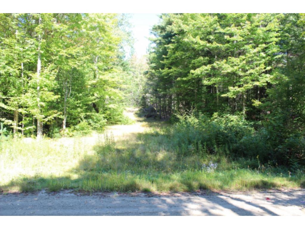 Lot #7 Ball Farm Road Stratton, VT 05360 - Photo 5 of 10
