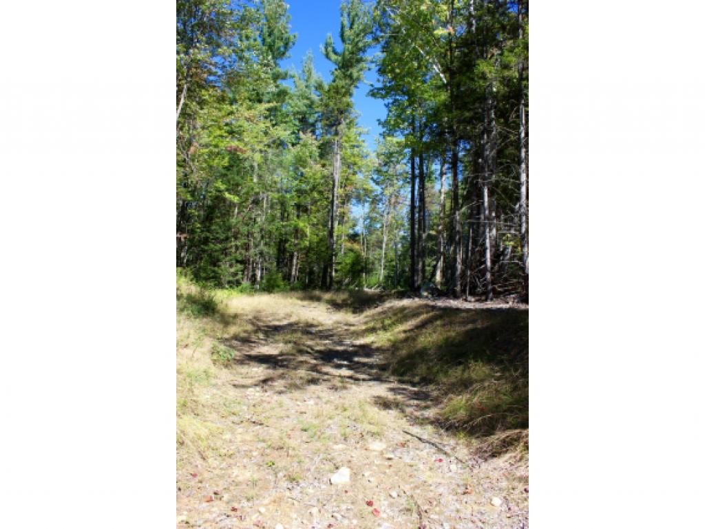 Lot #7 Ball Farm Road Stratton, VT 05360 - Photo 6 of 10