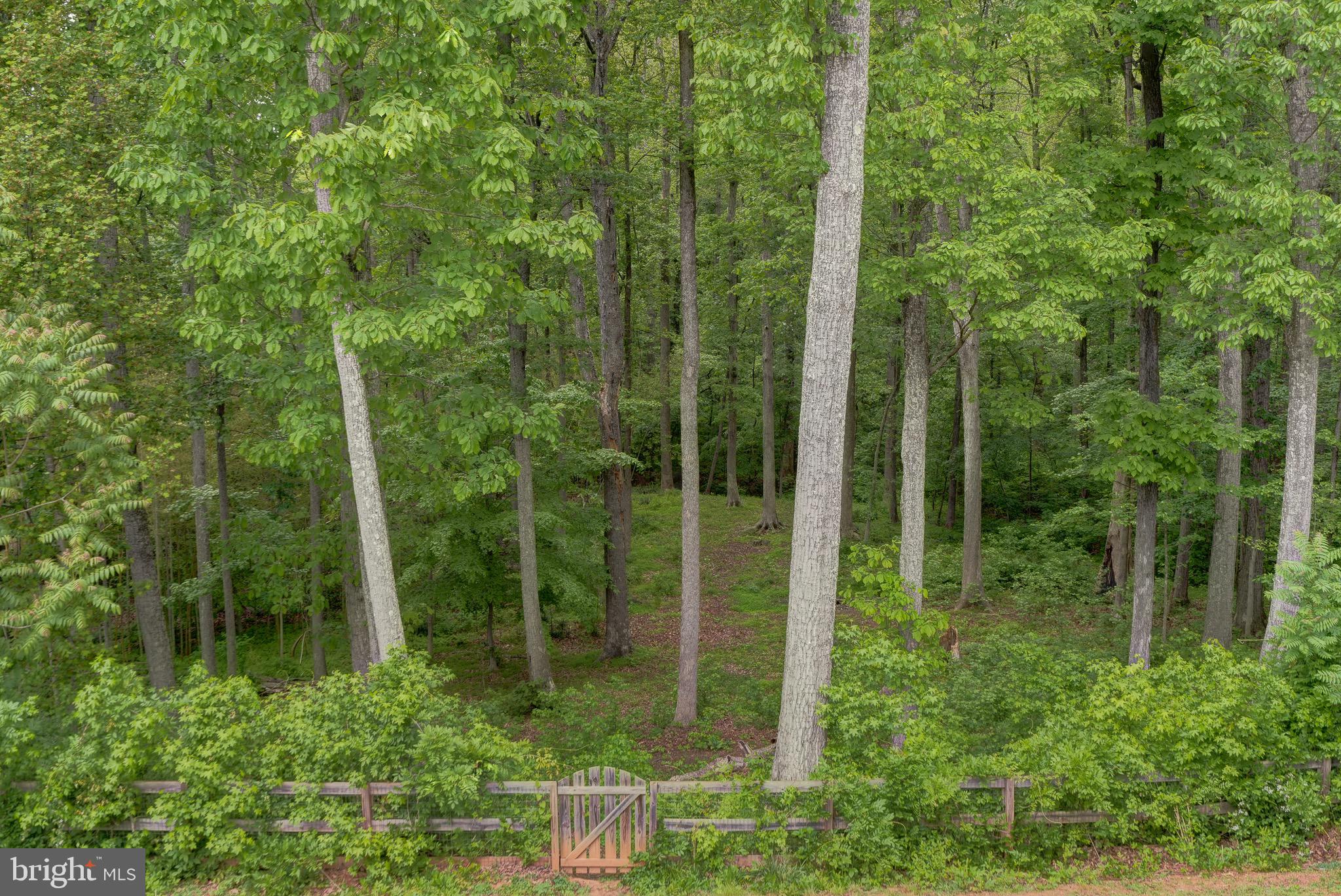 2948 New Hope Road Powhatan, VA 23139 - Photo 41 of 49