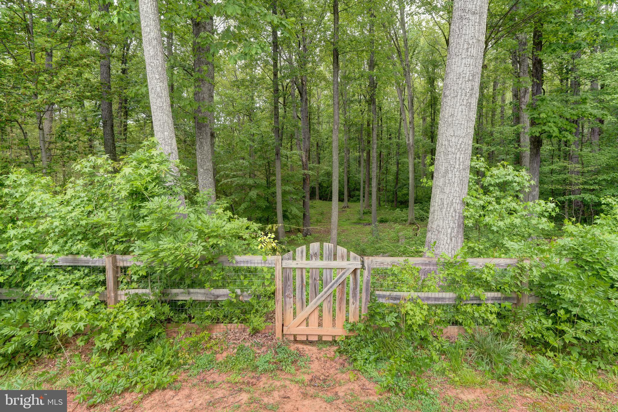 2948 New Hope Road Powhatan, VA 23139 - Photo 42 of 49