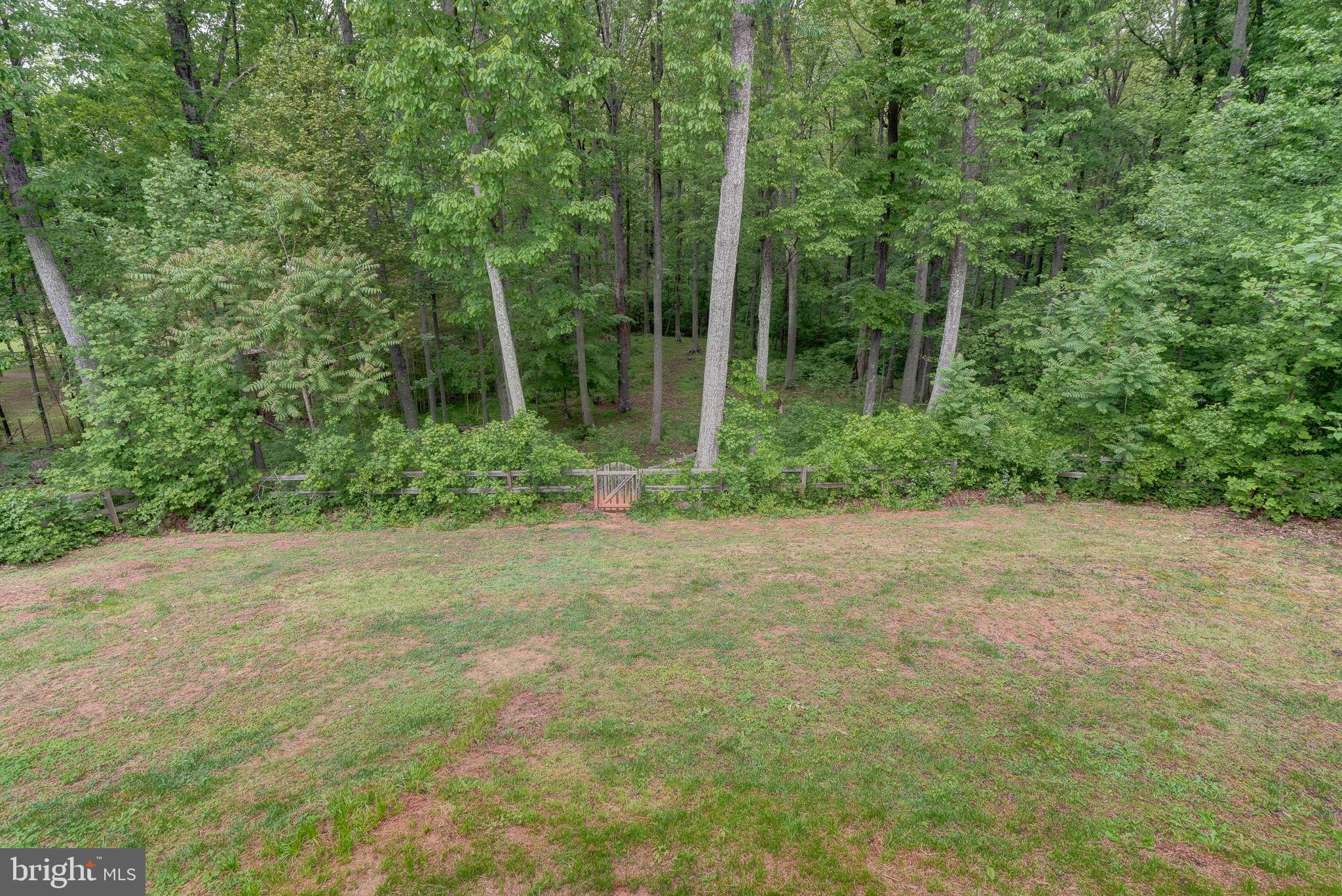 2948 New Hope Road Powhatan, VA 23139 - Photo 43 of 49