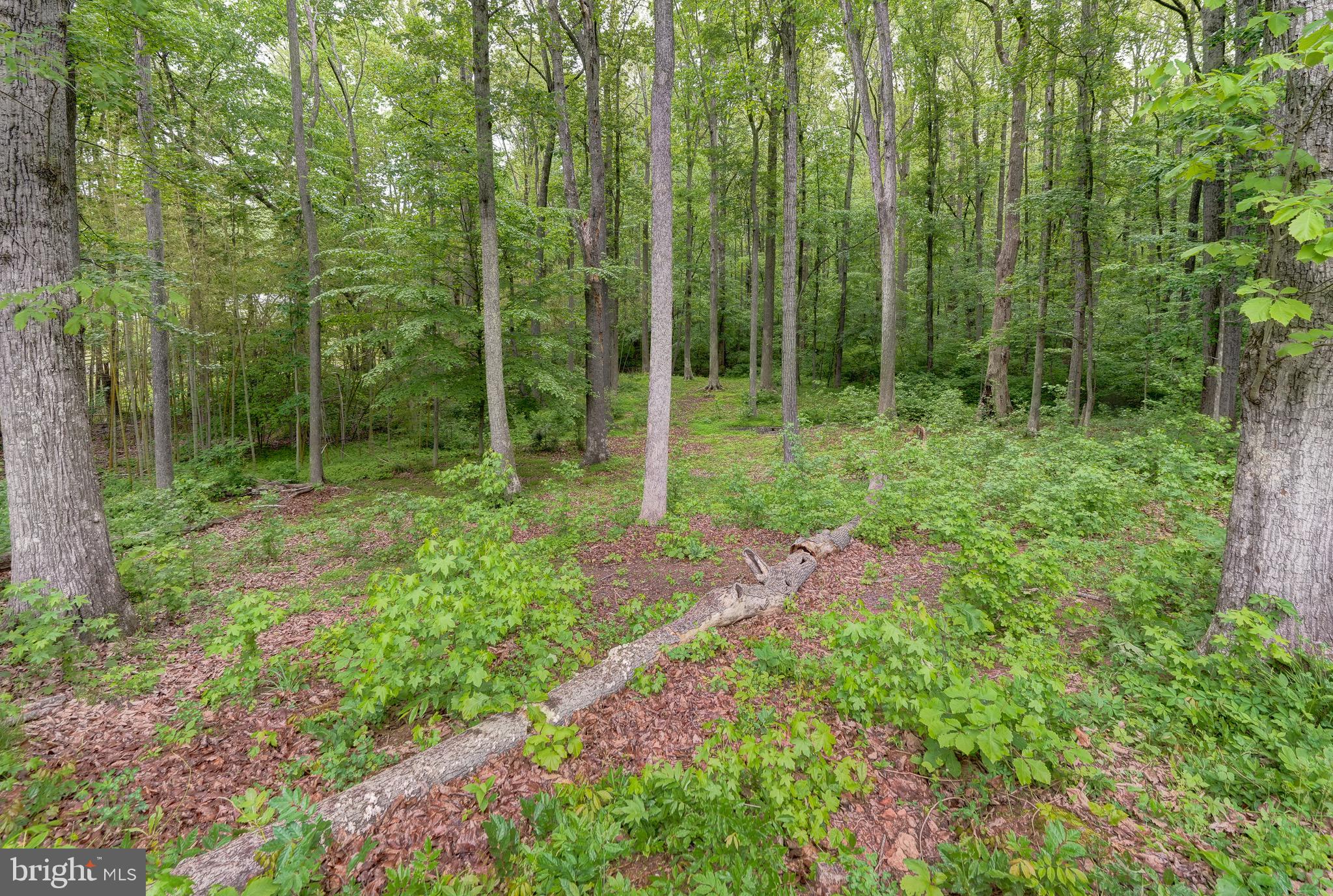 2948 New Hope Road Powhatan, VA 23139 - Photo 44 of 49