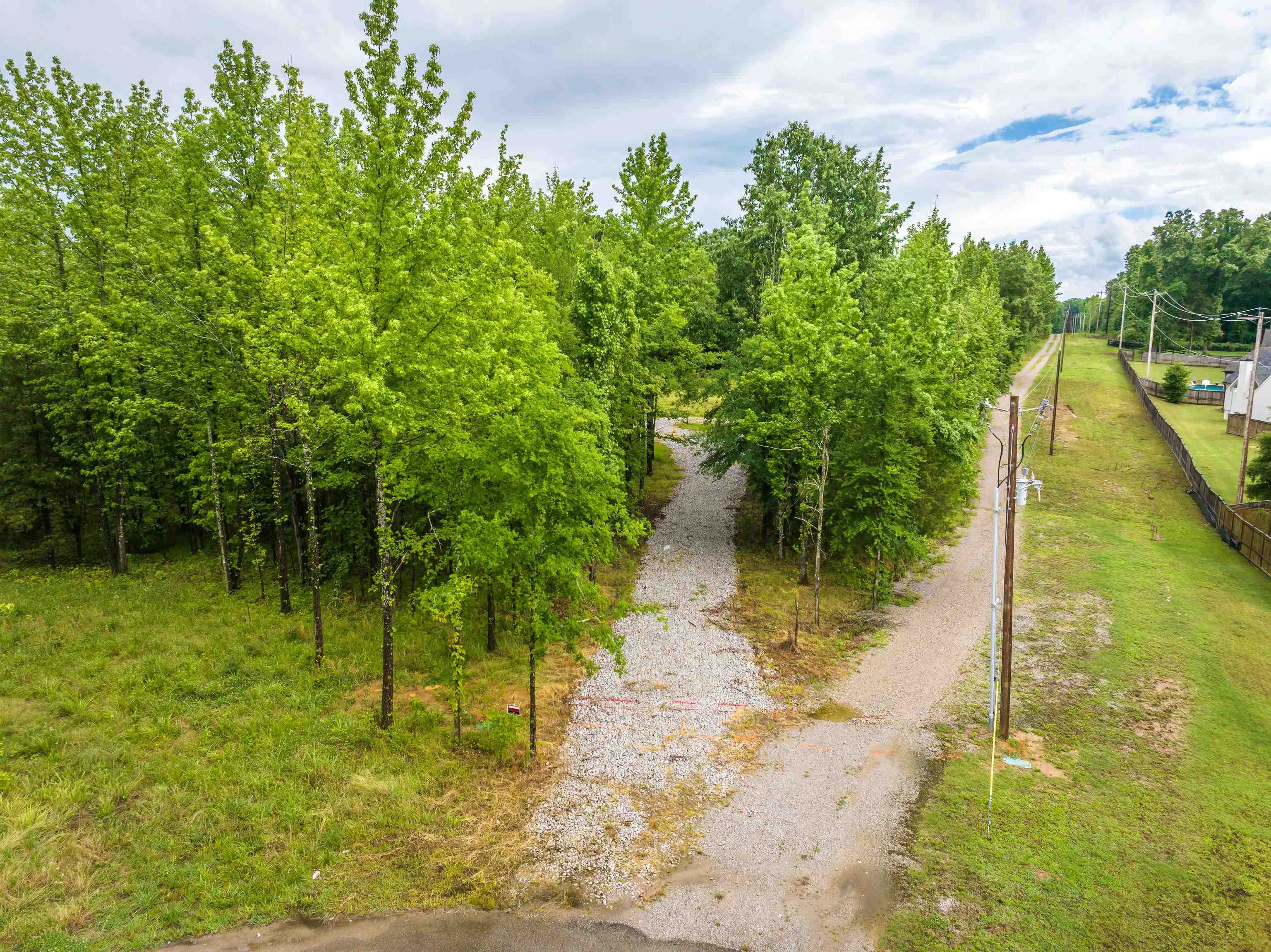 12800 Mags Lane Collierville, TN 38017 - Photo 16 of 16