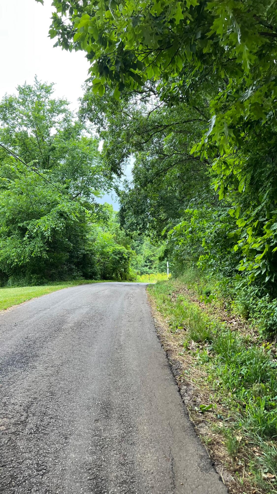 10885 B Napoleon-Zion Station Road Dry Ridge, KY 41035 - Photo 33 of 43