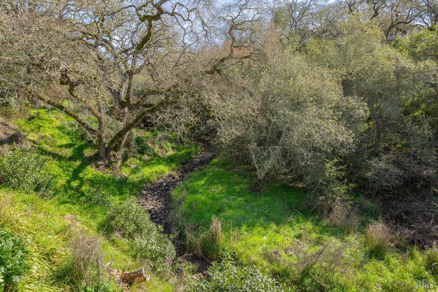 5960 Yerba Buena Road Santa Rosa, CA 95409 - Photo 16 of 17 a view of a lush green forest
