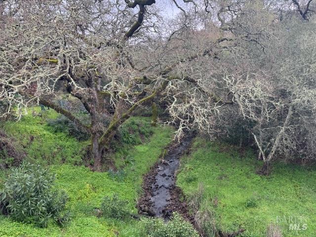 5960 Yerba Buena Road Santa Rosa, CA 95409 - Photo 17 of 17 a big yard with lots of green space and deers