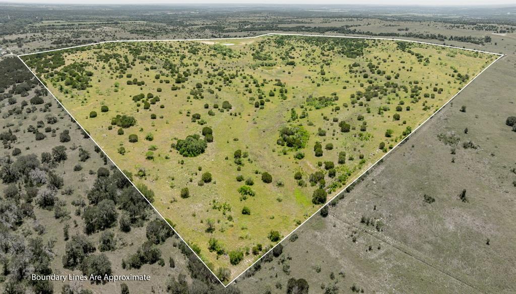 382 County Road 382 Carlton, TX 76436 - Photo 20 of 40 a view of a forest