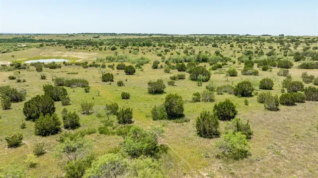 a view of a pathway both side of yard