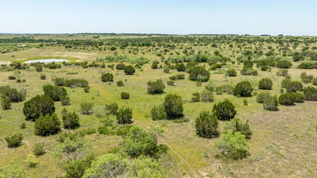 382 County Road 382 Carlton, TX 76436 - Photo 25 of 40 a view of a pathway both side of yard