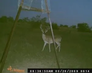 a picture of a outdoor space