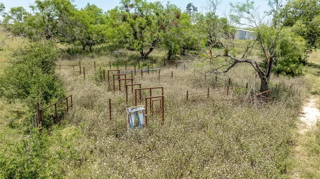 a view of a garden with a bench