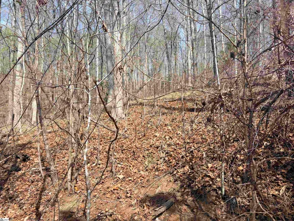 $16,000 | 167 Julie Way, Pickens, SC 29671