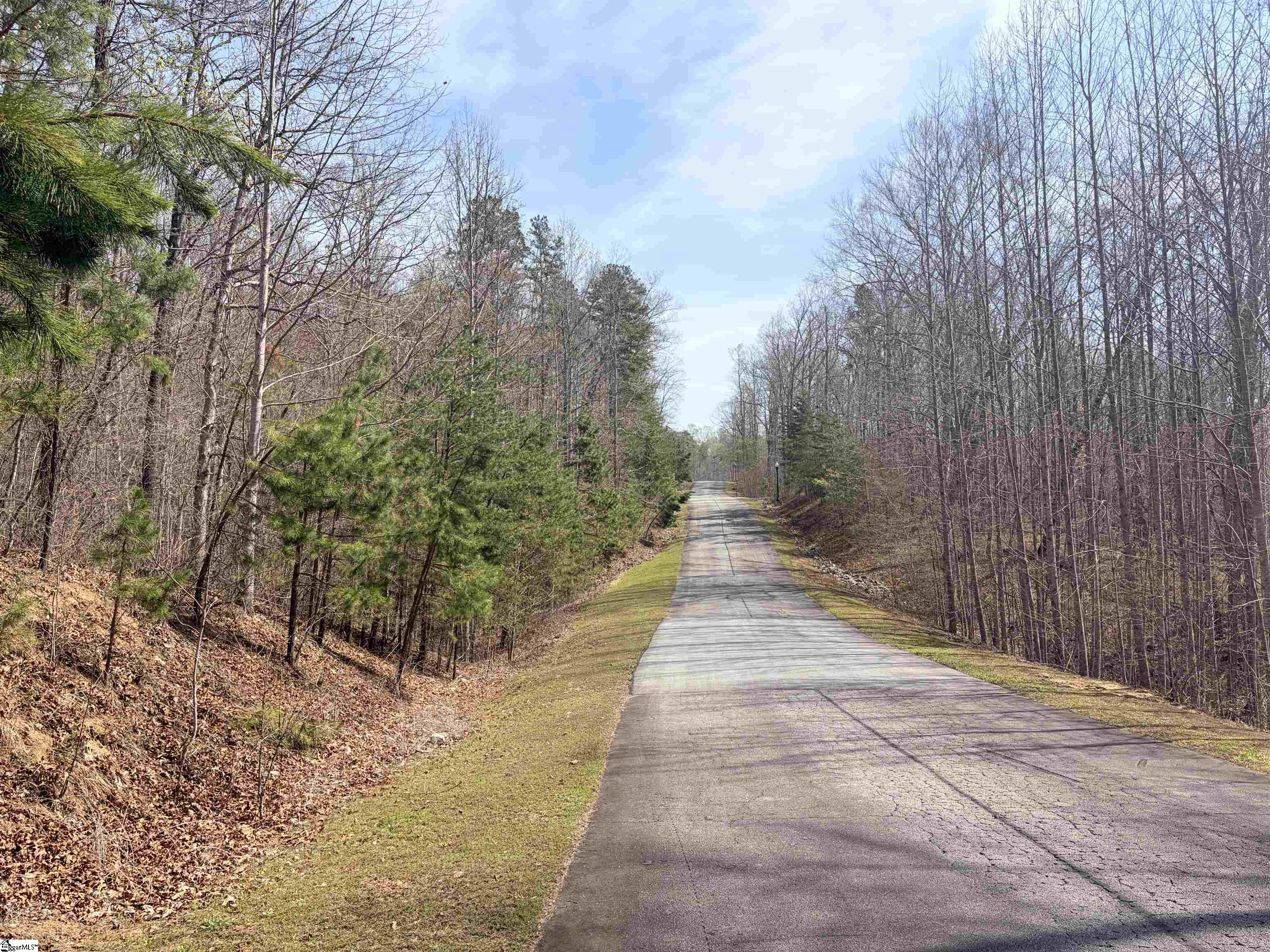 167 Julie Way Pickens, SC 29671 - Photo 3 of 6