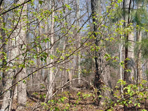 $16,000 | 167 Julie Way, Pickens, SC 29671