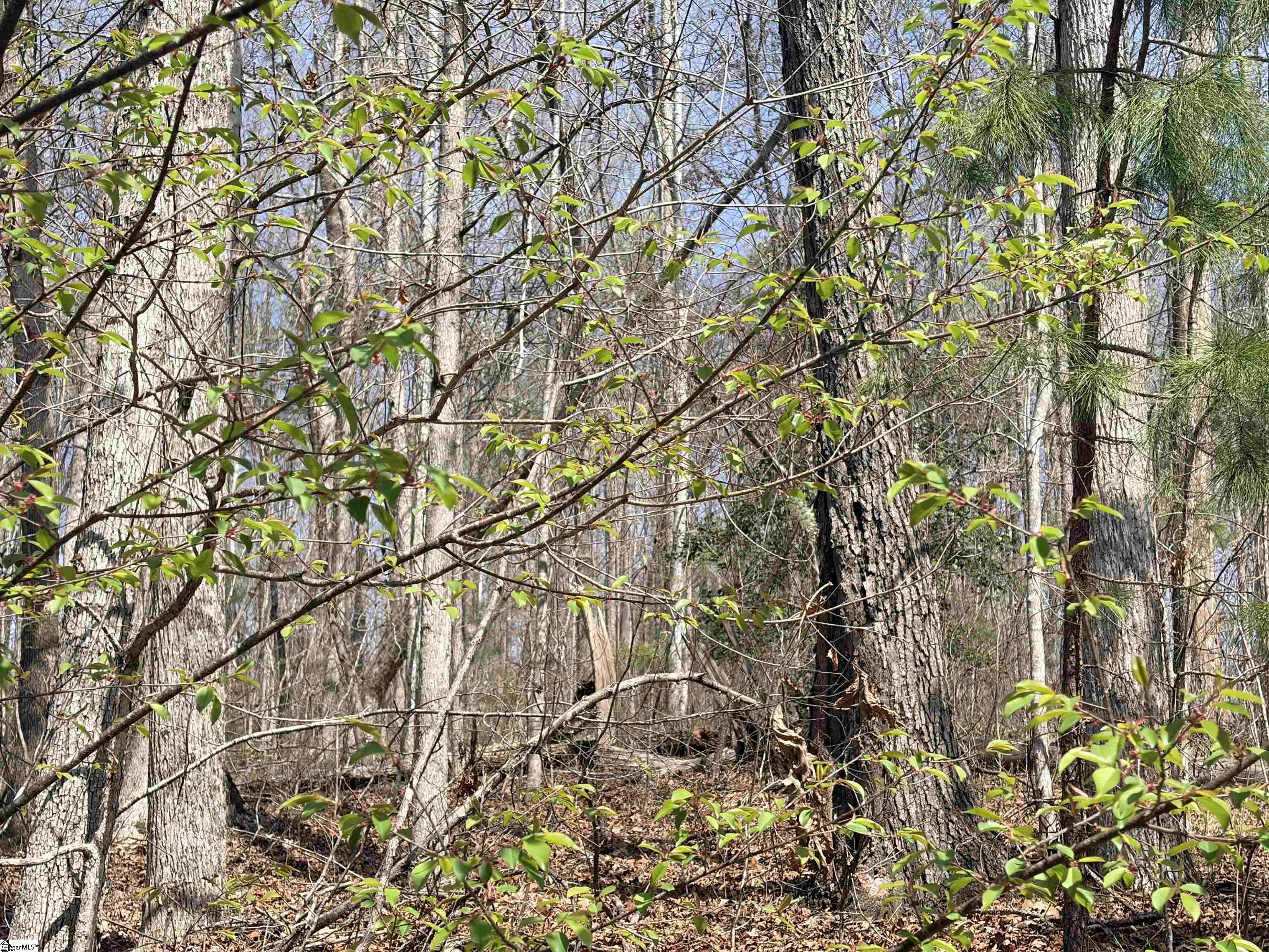 167 Julie Way Pickens, SC 29671 - Photo 5 of 6