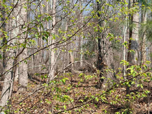 $16,000 | 167 Julie Way, Pickens, SC 29671
