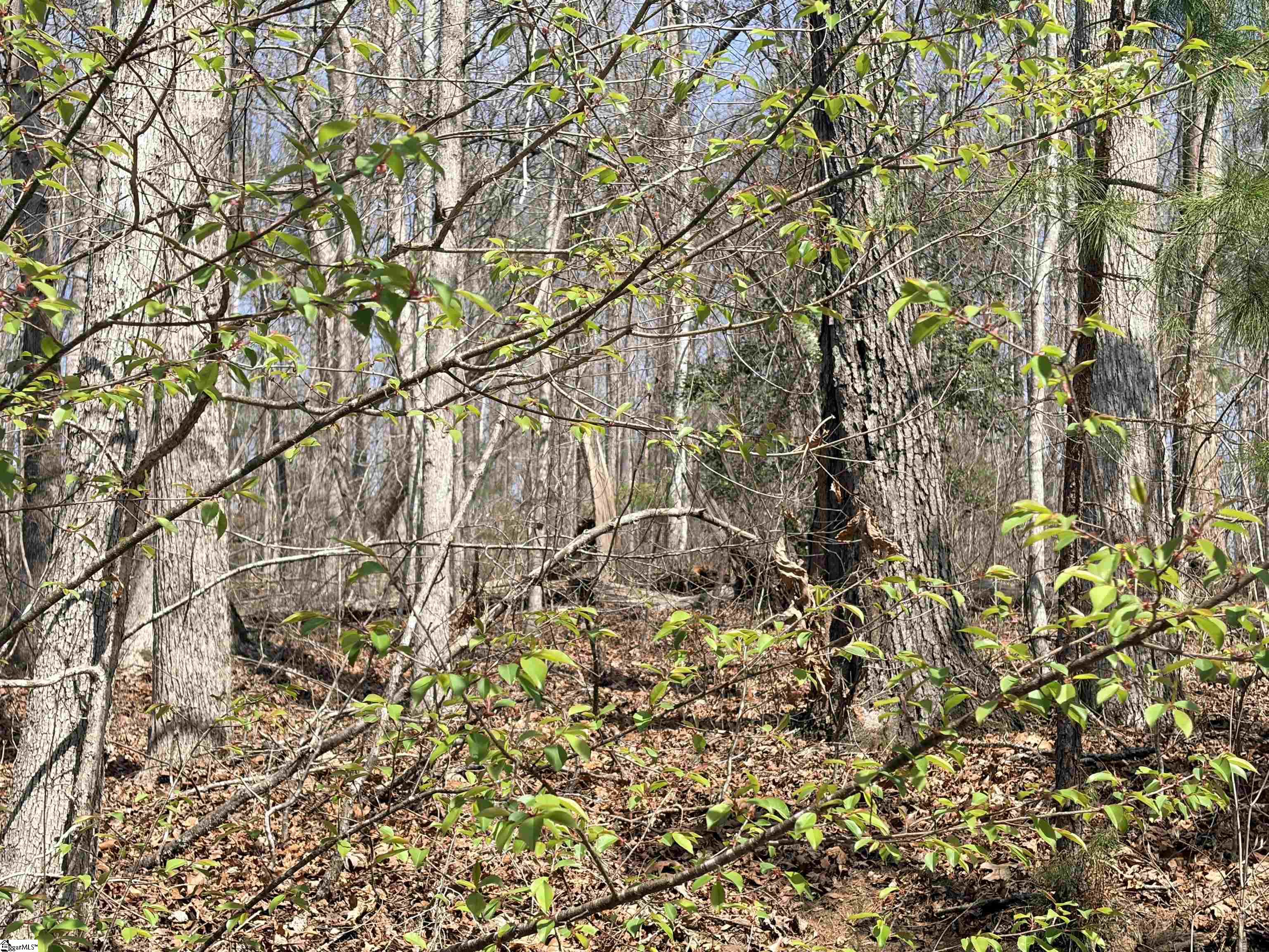 167 Julie Way Pickens, SC 29671 - Photo 6 of 6