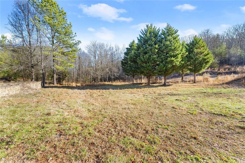 0 Dixon Drive Cleveland, GA 30528 - Photo 11 of 19