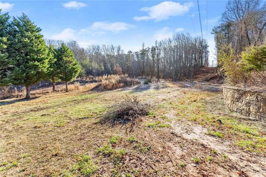 0 Dixon Drive Cleveland, GA 30528 - Photo 12 of 19 a view of a yard with trees